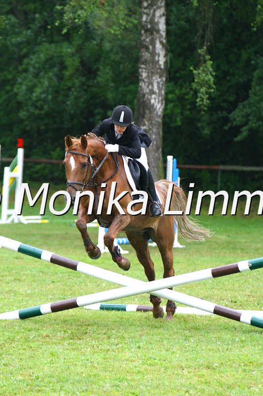 007L7305_Carino_Springreiter WB_e.JPG